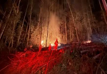 Incêndio florestal atinge área de 6 mil m² no interior de Macieira Incêndio florestal atinge área de 6 mil m² no interior de Macieira
