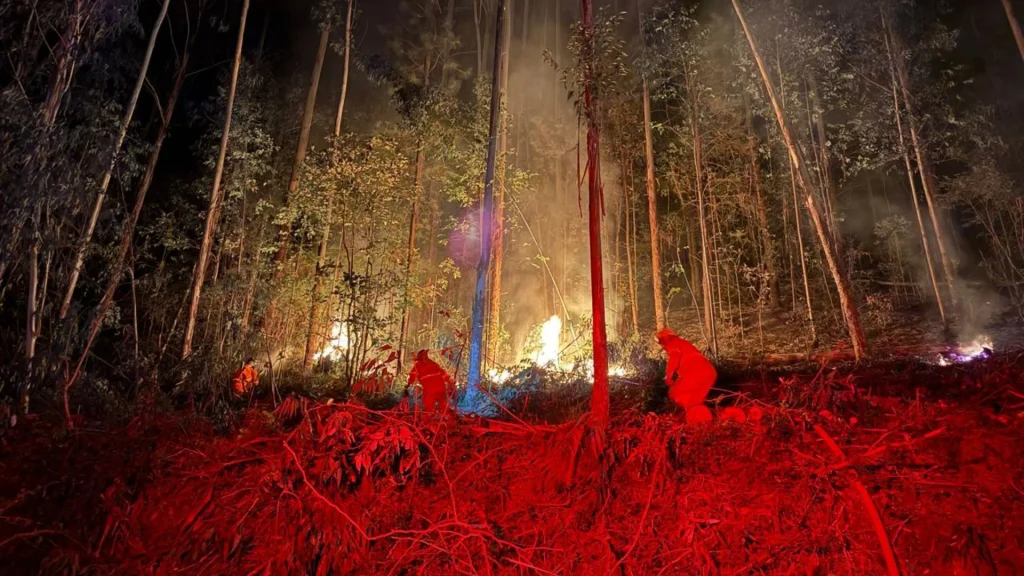 Incêndio florestal atinge área de 6 mil m² no interior de Macieira