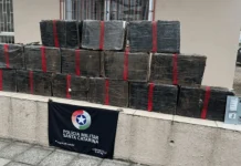 Mais de 300 quilos de maconha são apreendidos em veículo na BR-282 Mais de 300 quilos de maconha são apreendidos em veículo na BR-282