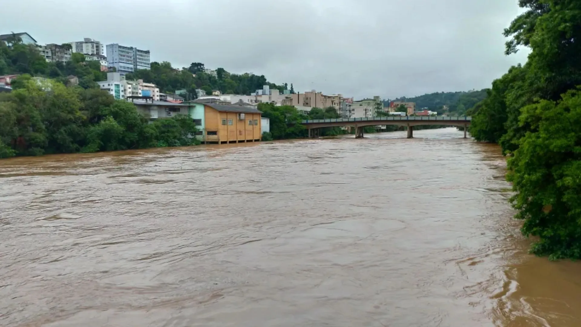Rio do Peixe apresenta elevação em Videira após chuva intensa
