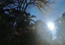 Sol volta a aparecer e temperaturas passam dos 30°C em SC Sol volta a aparecer e temperaturas passam dos 30°C em SC