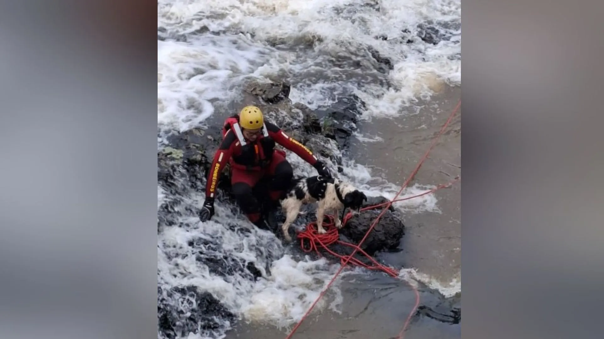 Bombeiros resgatam cachorro preso em pedra em cachoeira