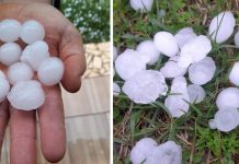 Tempestade de granizo causa estragos em assentamentos de Matos Costa Tempestade de granizo causa estragos em assentamentos de Matos Costa