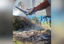 Mulher é presa por incendiar casa no interior de Campos Novos Mulher é presa por incendiar casa no interior de Campos Novos
