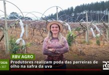 RBV Agro – 29/08/2026 – Edição 307 RBV Agro – 29/08/2026 – Edição 307