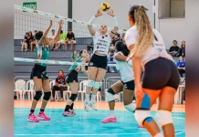Jogo do Napoli/Caçador terá arrecadação de alimentos Jogo do Napoli/Caçador terá arrecadação de alimentos