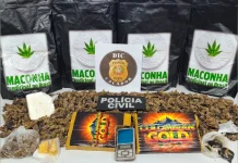 Polícia Civil prende mulher de 61 anos por tráfico em Caçador Polícia Civil prende mulher de 61 anos por tráfico em Caçador