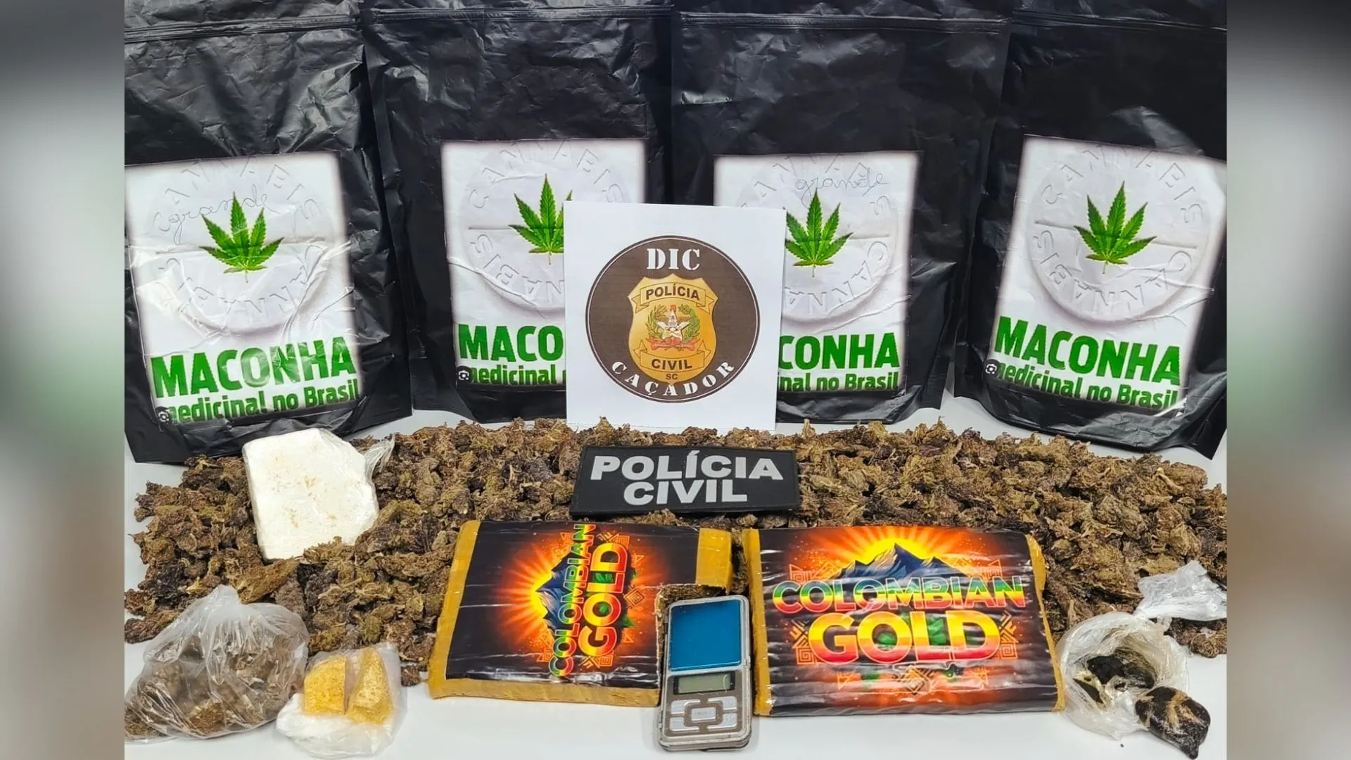 Polícia Civil prende mulher de 61 anos por tráfico em Caçador