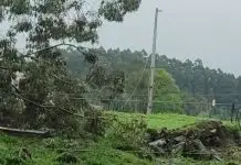 Celesc trabalha para restabelecer energia após temporais na região Celesc mobiliza equipes para recuperar rede elétrica no Meio-Oeste
