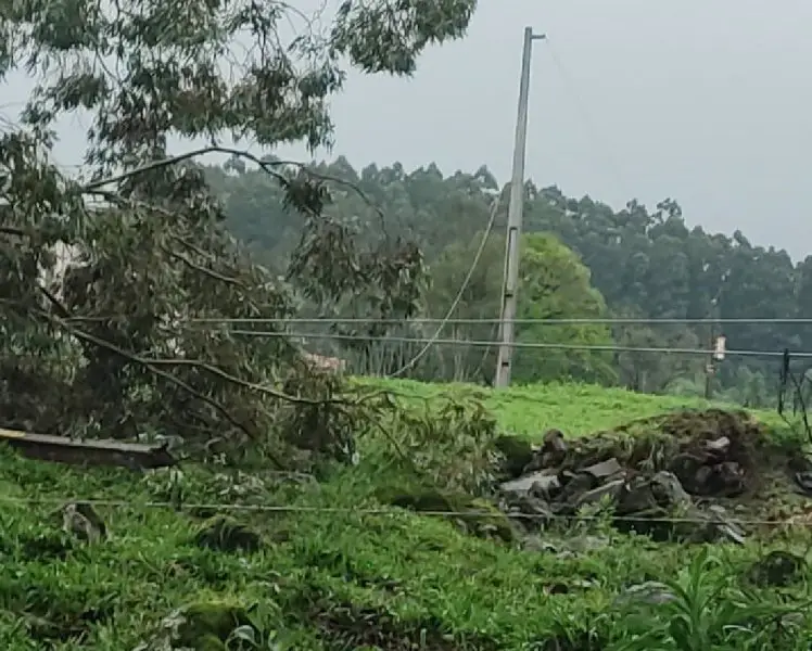 Celesc mobiliza equipes para recuperar rede elétrica no Meio-Oeste
