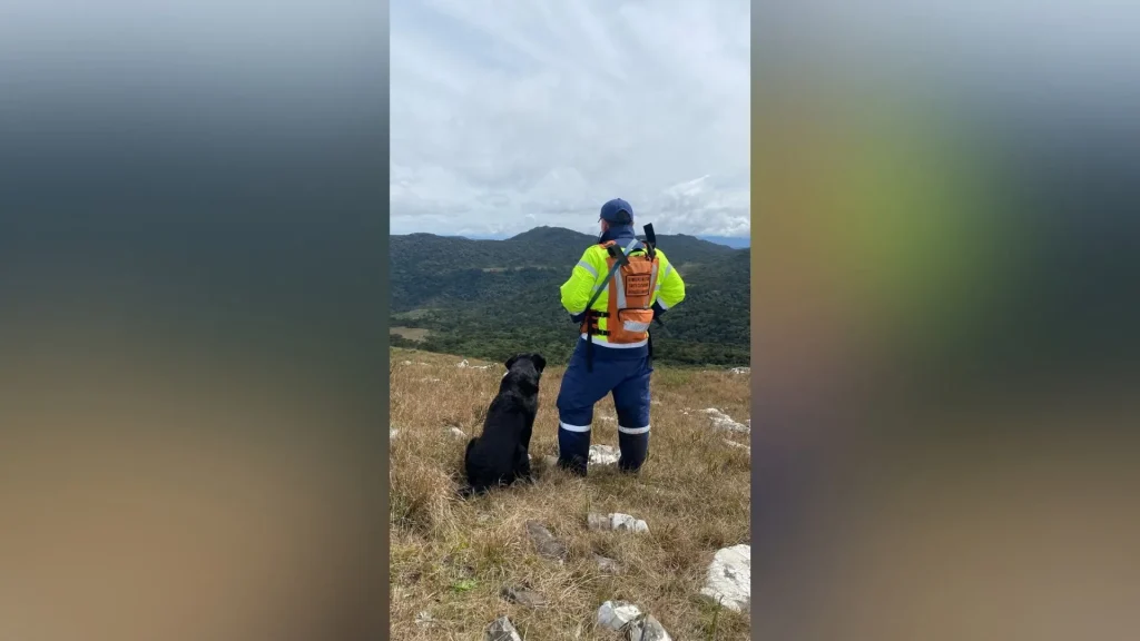 Bombeiros localizam destroços de voo com cantor Rick em SC