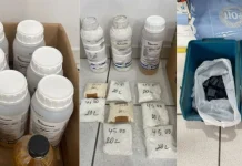 Investigação de mortes de animais revela produção ilegal de venenos em SC Investigação de mortes de animais revela produção ilegal de venenos em SC