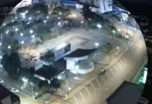 Casal é indiciado por capturar cães e abandoná-los em cidades vizinhas com veículo da prefeitura Casal é indiciado por capturar cães e abandoná-los em cidades vizinhas com veículo da prefeitura