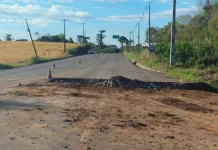 Obras na SC-135 deixam trânsito em meia pista em Videira Obras na SC-135 deixam trânsito em meia pista em Videira
