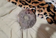 Ex-companheiro é preso após agredir mulher com pedrada na cabeça em Herval d’Oeste Ex-companheiro é preso após agredir mulher com pedrada na cabeça em Herval d’Oeste