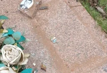 Cemitério de Videira é alvo de vandalismo e furto Cemitério de Videira é alvo de vandalismo e furto