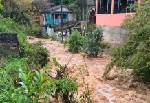 Defesa Civil registra 14 deslizamentos e 70 imóveis desocupados após chuva em Videira Defesa Civil registra 14 deslizamentos e 70 imóveis desocupados após chuva em Videira