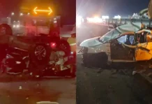 Dois cavalos soltos provocam sequência de acidentes na BR-101 em SC Dois cavalos soltos provocam sequência de acidentes na BR-101 em SC