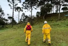 Cães e drones térmicos reforçam buscas por helicóptero com cantor Rick Cães e drones térmicos reforçam buscas por helicóptero com cantor Rick