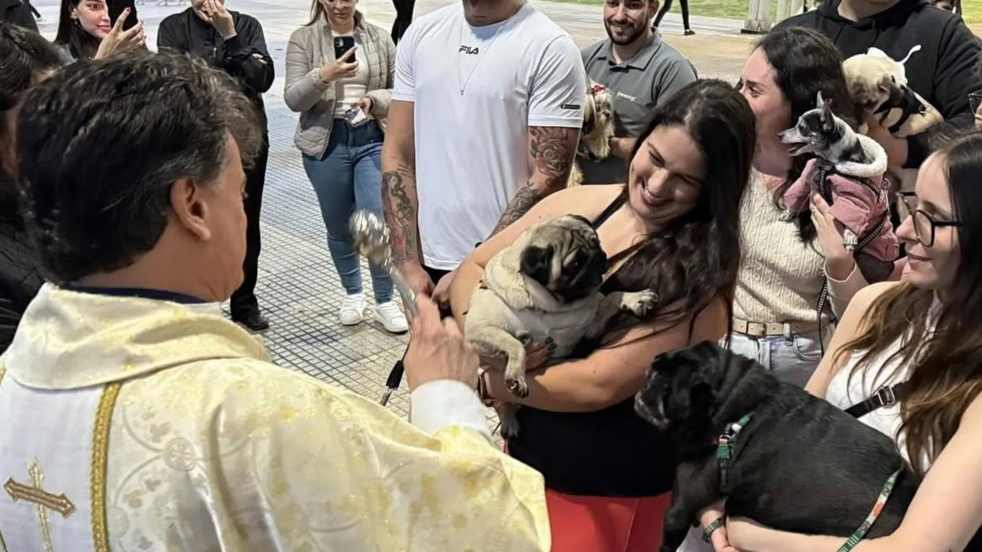 Bênção dos Animais acontece nesta sexta-feira em Videira