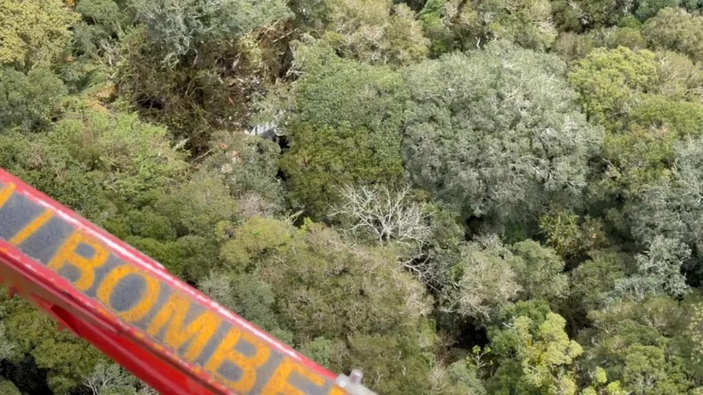 “Difícil acesso”: Local isolado dificulta retirada de vítimas de queda do helicóptero com Rick