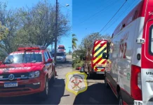 Ataque de abelhas leva quatro pessoas ao hospital em Caçador Ataque de abelhas leva quatro pessoas ao hospital em Caçador