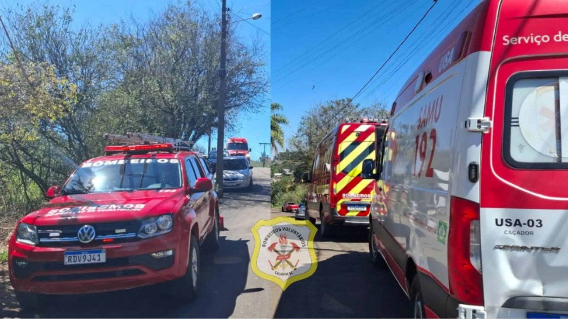 Ataque de abelhas leva quatro pessoas ao hospital em Caçador