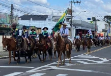 Semana Farroupilha em Caçador realiza tradicional cavalgada Semana Farroupilha em Caçador realiza tradicional cavalgada