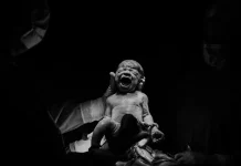 Câmara de Caçador recebe exposição “O Milagre da Vida” Câmara de Caçador recebe exposição “O Milagre da Vida”