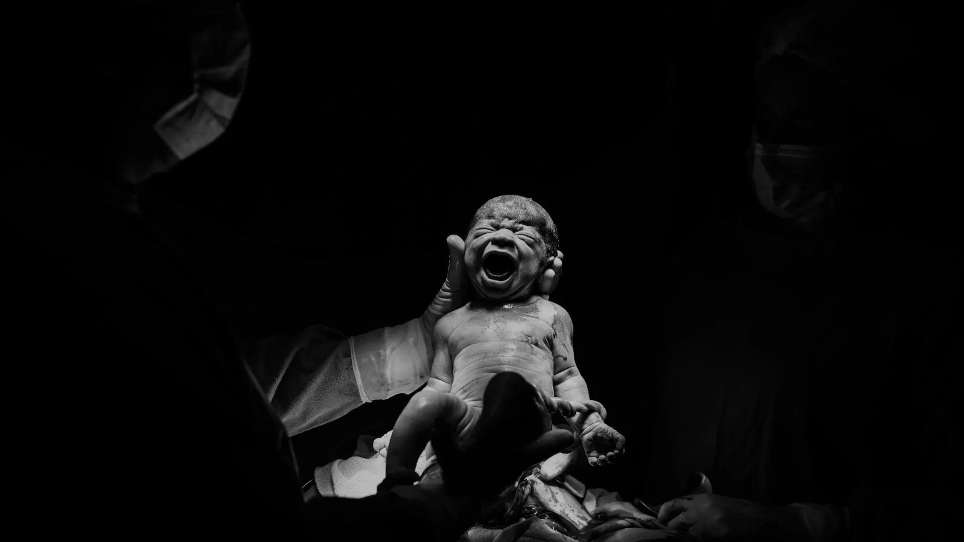 Câmara de Caçador recebe exposição “O Milagre da Vida”