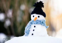 Feriado de 7 de Setembro pode ter neve no Sul do Brasil Feriado de 7 de Setembro pode ter neve no Sul do Brasil