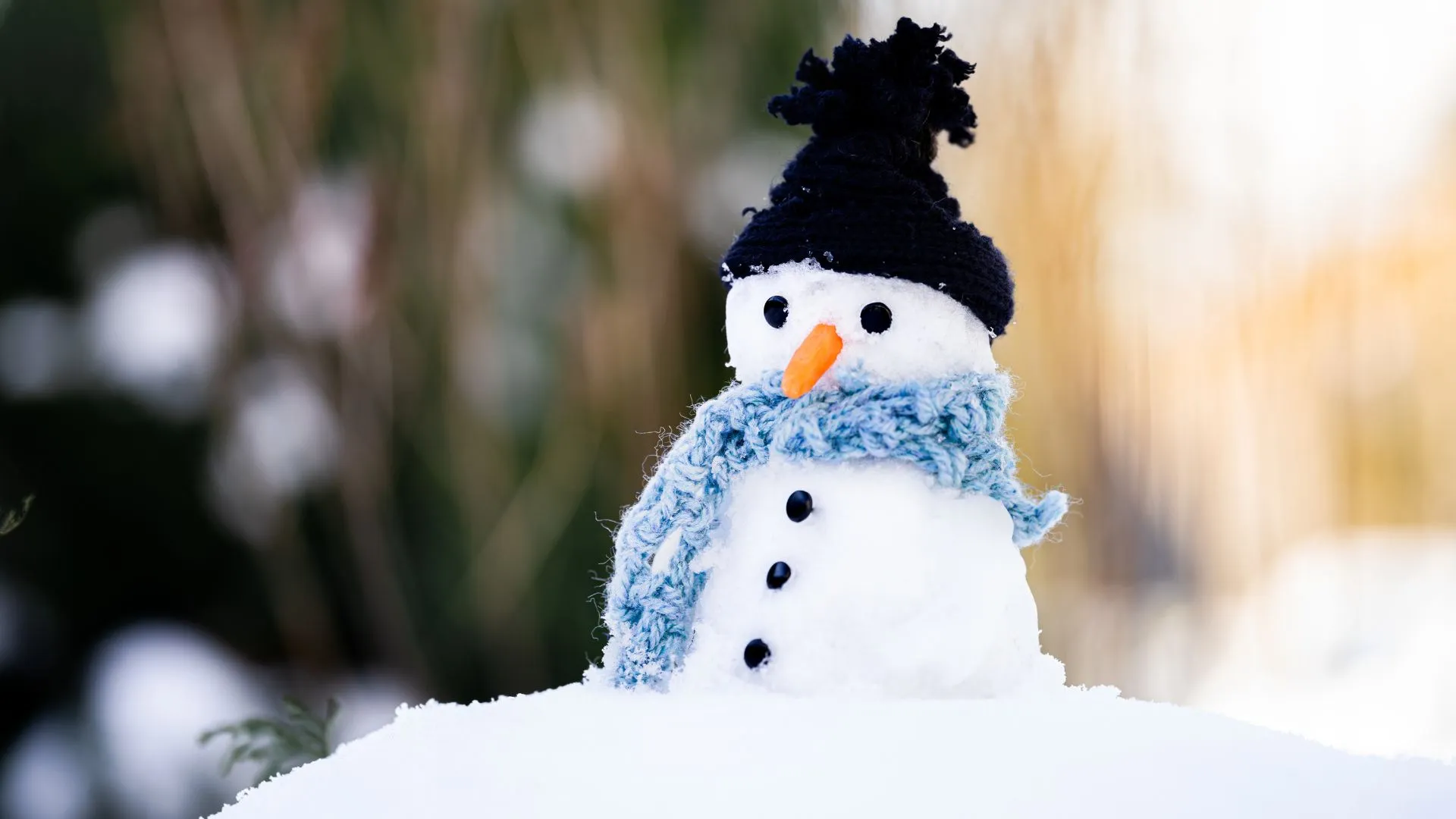 Feriado de 7 de Setembro pode ter neve no Sul do Brasil
