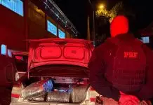 PRF prende homem com 210 kg de maconha após fuga na BR-163 PRF prende homem com 210 kg de maconha após fuga na BR-163