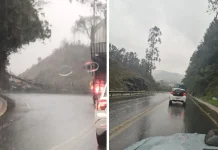 Queda de árvores interrompe o trânsito entre Caçador e Rio das Antas Queda de árvores interrompe o trânsito entre Caçador e Rio das Antas