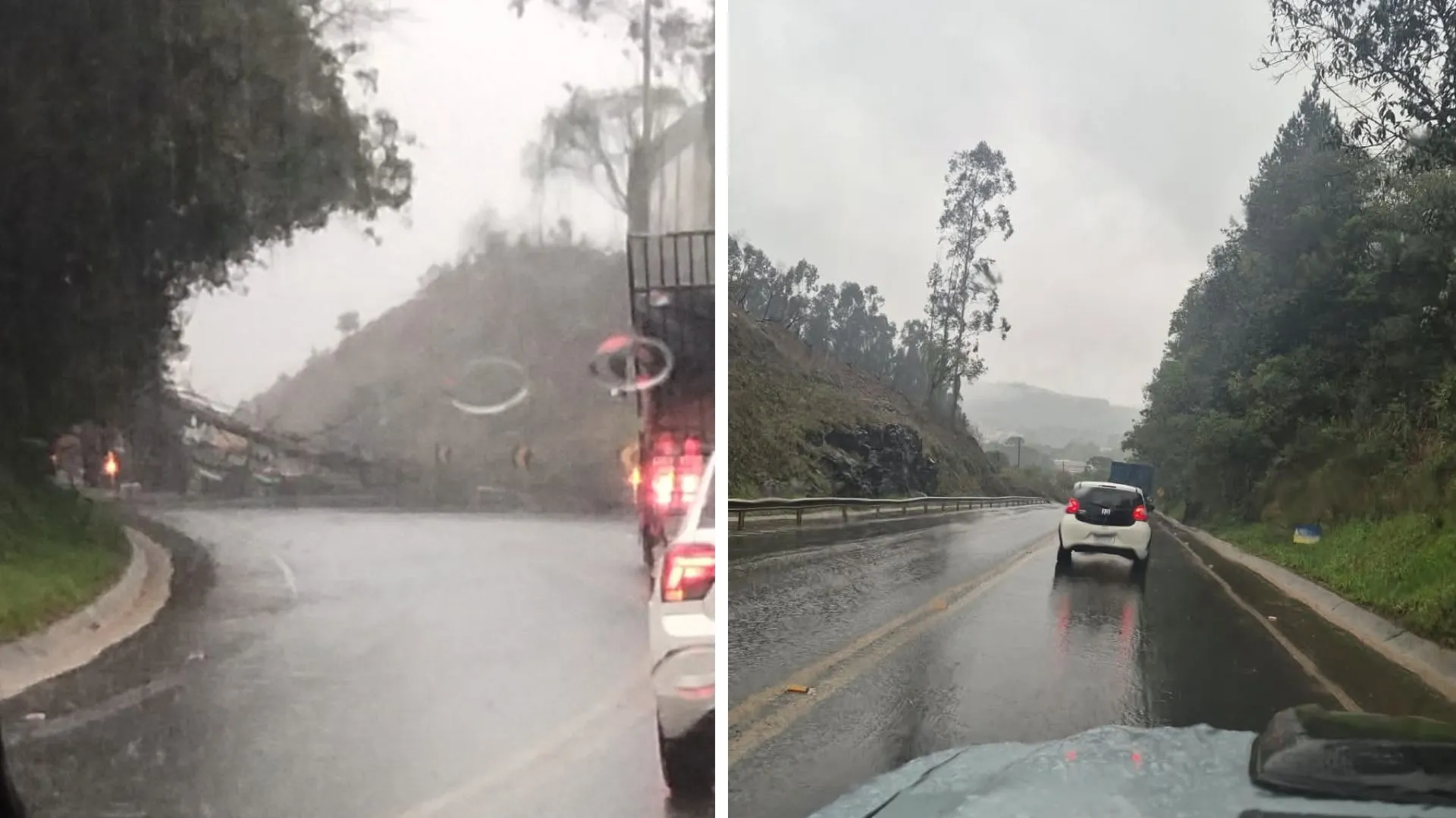 Queda de árvores interrompe o trânsito entre Caçador e Rio das Antas