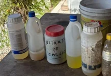 Polícia apreende frascos de veneno possivelmente usados para matar gatos Polícia apreende frascos de veneno possivelmente usados para matar gatos