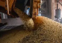 Safra brasileira de grãos deve superar 367 milhões de toneladas em 2026/2027 Produção brasileira de grãos deve aumentar apesar do El Niño