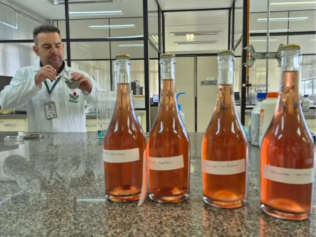 Epagri de Videira pesquisa bioinsumos para promover sustentabilidade na produção de vinhos