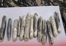 Mulher é flagrada com drogas ao visitar filho no presídio de Caçador Mulher é flagrada com drogas ao visitar filho no presídio de Caçador