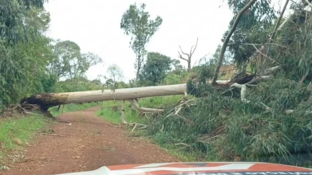 Defesa Civil levanta danos após temporal em Água Doce