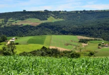 SC Rural 2 abre inscrições para apoiar agricultores e pescadores em Santa Catarina SC Rural 2 abre inscrições para apoiar agricultores e pescadores em Santa Catarina