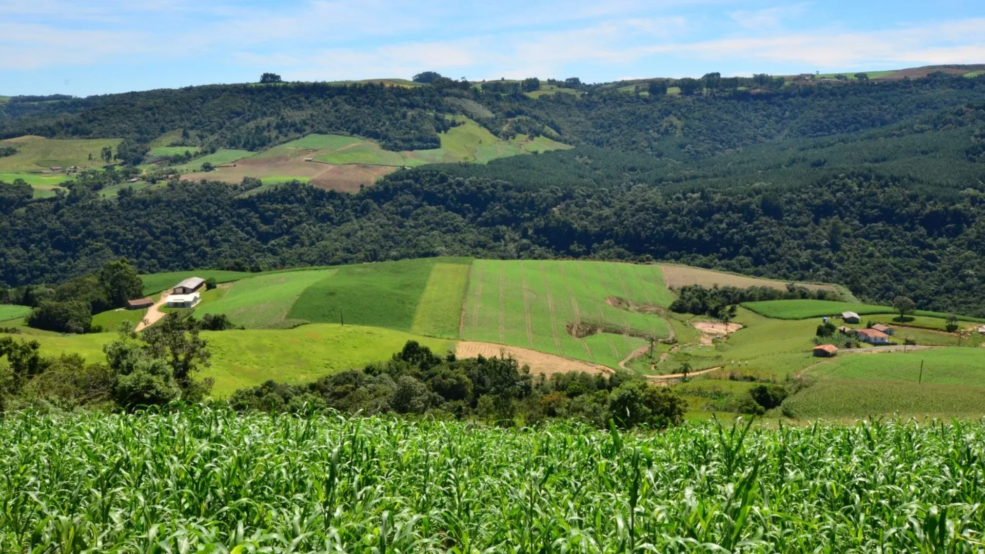 SC Rural 2 abre inscrições para apoiar agricultores e pescadores em Santa Catarina