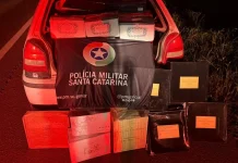 Polícia apreende 420 garrafas de vinho argentino Polícia apreende 420 garrafas de vinho argentino