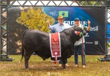 3 Marias Agronegócios conquista dois títulos na ExpoLages 2026 3 Marias Agronegócios conquista dois títulos na ExpoLages 2026