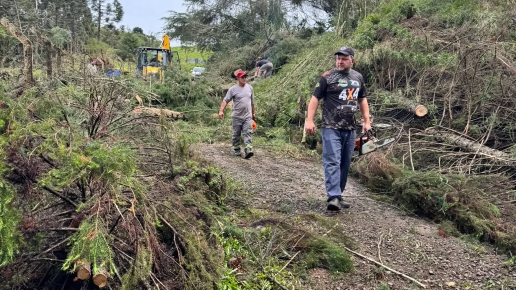 Ventos fortes bloqueiam acessos no interior de Caçador