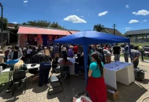 Carreta da castração realiza 257 procedimentos em Caçador Carreta de castração realiza 257 procedimentos em Caçador