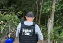 Corpos carbonizados encontrados em mata de SC podem ser de três irmãos Três corpos carbonizados encontrados em SC podem ser de irmãos; mãe relata ter ouvido tiros