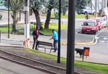 Morador de rua ataca outro homem com faca no centro de Caçador Desentendimento por causa de cachorro aciona a PM em Caçador