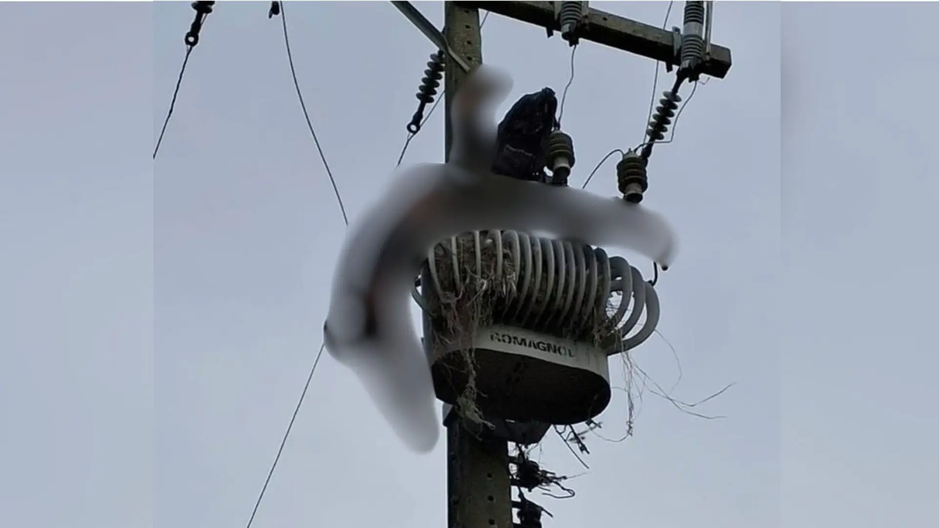 Homem sobe em transformador de energia elétrica, morre eletrocutado e fica pendurado em poste em SC