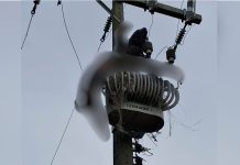 Homem morre eletrocutado após subir em poste para furtar fios Homem sobe em transformador de energia elétrica, morre eletrocutado e fica pendurado em poste em SC